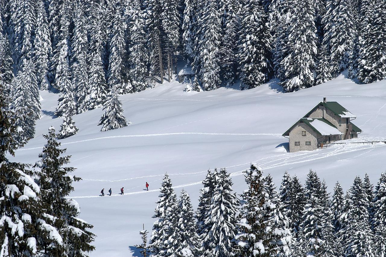 Alpine Smart Residence フォルガリーア エクステリア 写真
